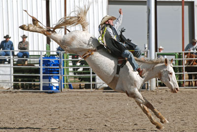 Rodeo saddlebronc riding.