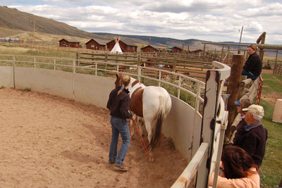 Demonstration of natural horsemanship training at LRR.